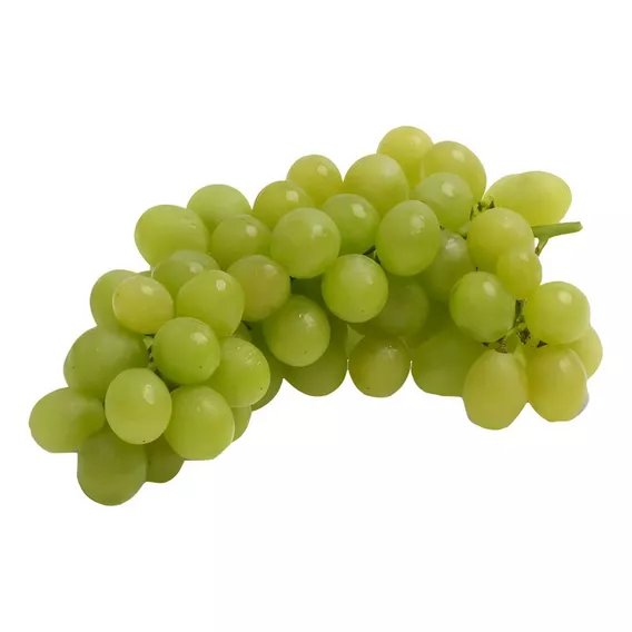 uva italia