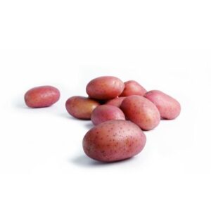 batata-nova-roxa