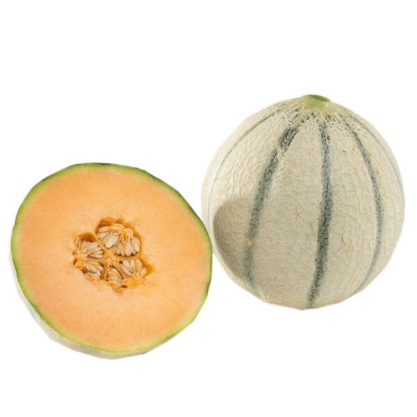meloa-cantaloupe