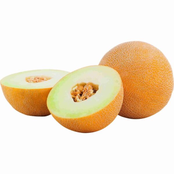 meloa galia