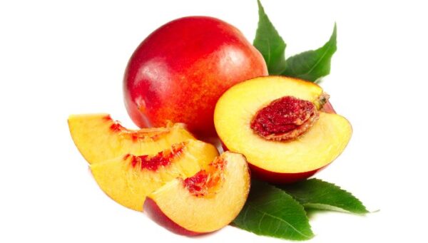 Nectarina kg