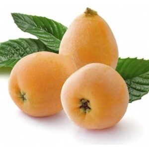 Nespera