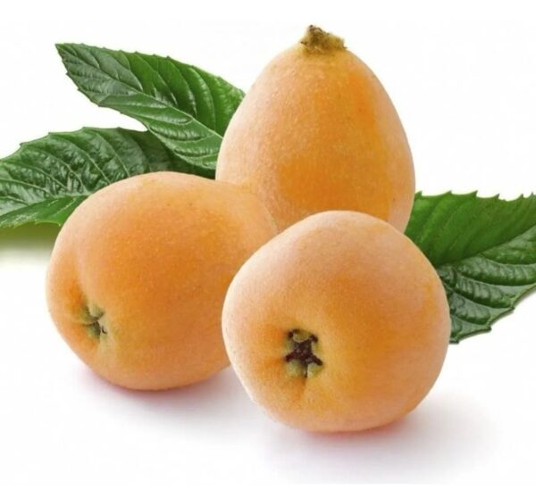 Nespera